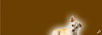 Hundehaltung.org