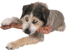 Hundefütterung - ausgewogene Ernährung Fütterung und Ernährung - Hund